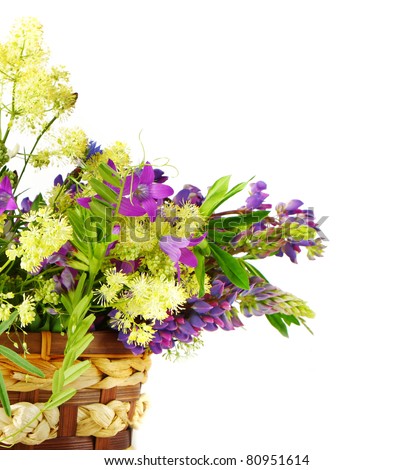 Bouquet of wild flowers on a white background