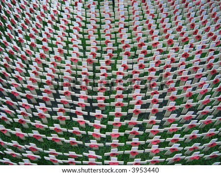 on field remembrance poppy