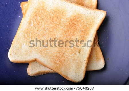 Two pieces of toast are on blue dish isolated on white background.