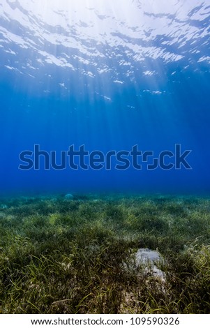 Ocean background - Sun rays cut down through dark blue water creating a dancing dappled light effect on a shallow seagrass seabed in the Egyptian Red Sea town of Nuweiba