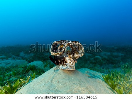 Old plastic skull covered in marine growth wearing a diving mask sits on the seabed on a dark, gloomy day