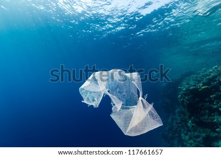 Discarded plastic bags floats in the sea next to a coral reef wa