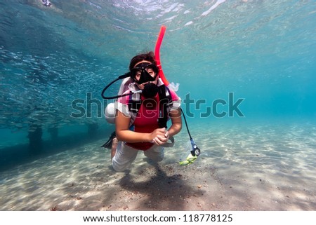 A female SCUBA diver in shallow water next to a jetty surrounded by tropical fish