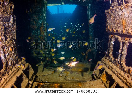 Sweepers swim around the silt filled engine room of an underwater shipwreck