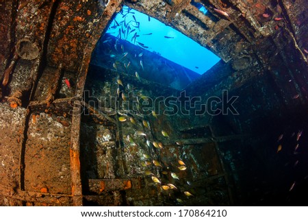 Sweepers swim inside the engine room of an underwater shipwreck