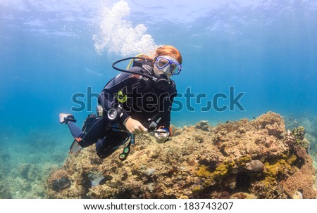 Female SCUBA diver on a shallow coral reef