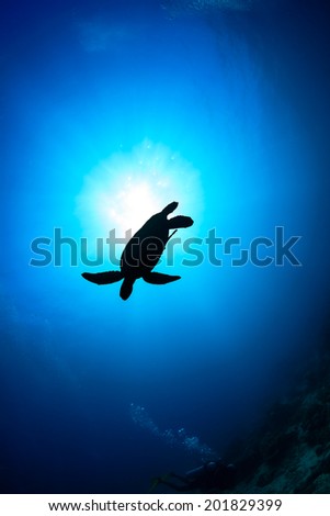 Silhouette of a Sea Turtle with sunburst behind and SCUBA diver