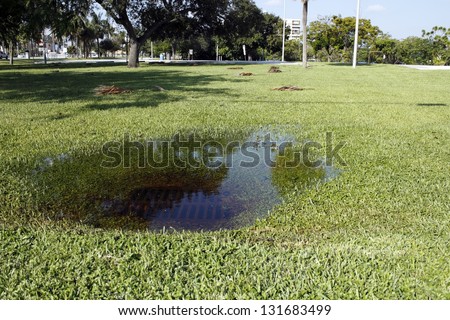 In some park grass in Fort Lauderdale, Florida is a sewer storm drain clogged with water from a recent rain storm on a sunny autumn day.