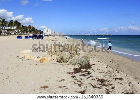 DEERFIELD BEACH, FLORIDA - FEBRUARY 1: Home to more than 70,000 full time residents, locals and tourists alike relax at this very scenic beach on February 1, 2013 in Deerfield Beach, Florida.