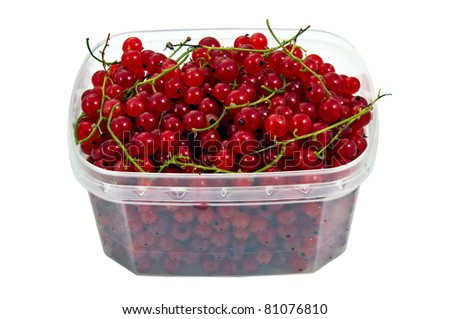 full of vitamins wet tasty red currant in the plastic semi transparent container with water drops is waiting for customer