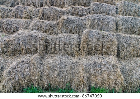 mow, hayloft or rolls of hey unusual background like a waterfall dissonance of dead and alive grass