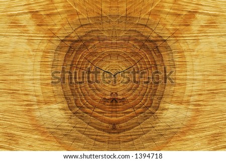 wood texture closeup
