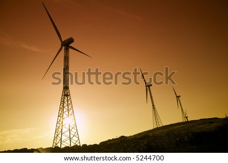 environmental conservation: wind turbines against the sunset