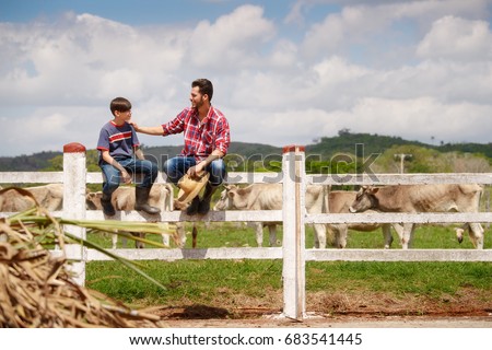 Everyday life for farmer with cows in the countryside. Peasant work in South America with livestock in family country ranch. Happy father and son smiling and spending time together.