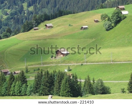 Taken from train on the way up Jungfrau (Switzerland).  Nice houses on the slope of lower Jungfrau.