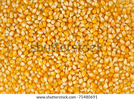 corn beans