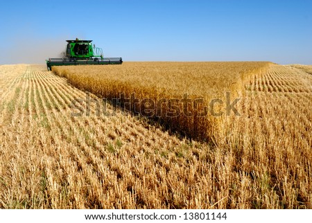 combine harvesting