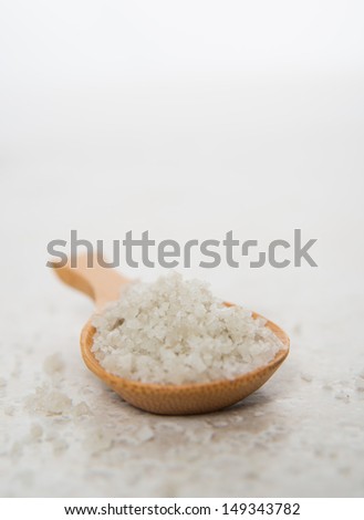 Gray Celtic Sea Salt in Small Bamboo Spoon
