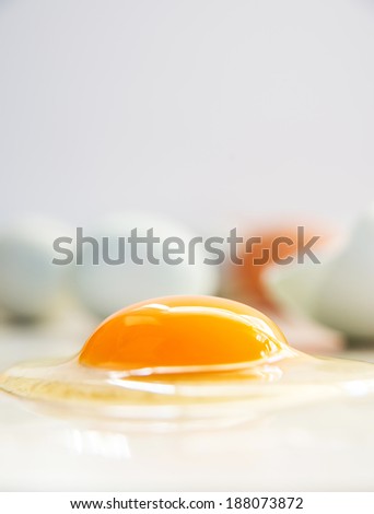 Open Fresh Light Green Egg with Dark Orange Yolk From Free Range Chicken