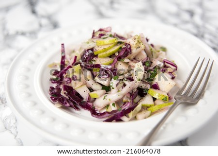 Red and Green Cabbage Cole Slaw with Fresh Herbs and Pears