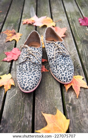 Animal Print Oxford Shoes on Wooden Patio with Falling  Leaves