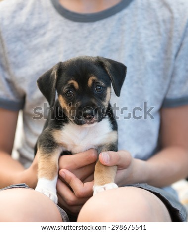 Child Holding Black and Brown Puppy with Floppy Ears