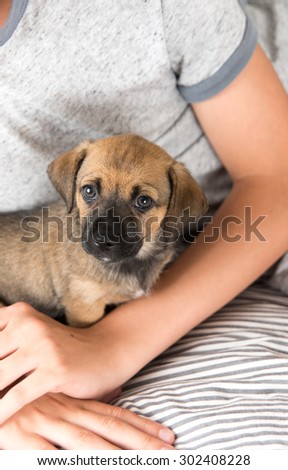 Child Protecting Brown Puppy with Floppy Ears