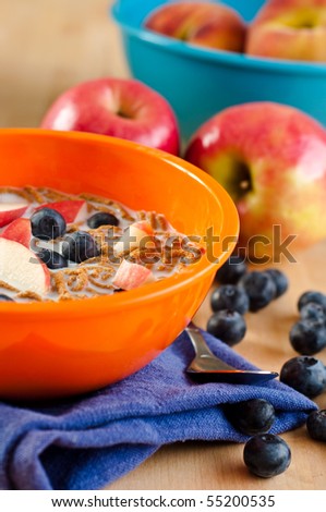 Orange Bowl with Healthy Breakfast Cereal with Fruits and Berries