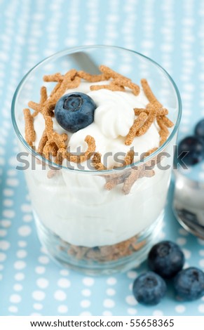 Glass of Plain Fat Free Greek Yogurt Topped with Blueberry