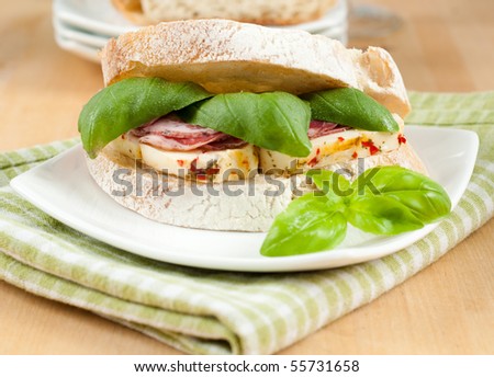 Delicious Gourmet Sandwich with Prosciutto