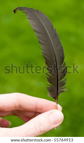 Hand Holding Black Feather