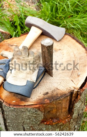 Wood Splitting Mole and Wedge