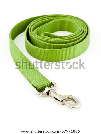 clipart dog leash. stock photo : Green Dog Leash