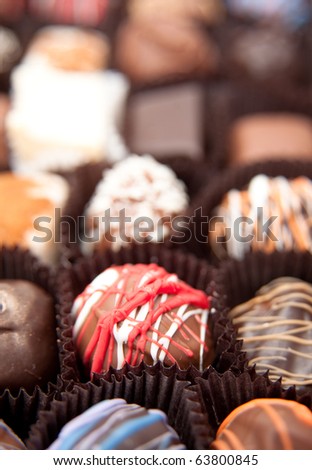 Gourmet Chocolate Truffles