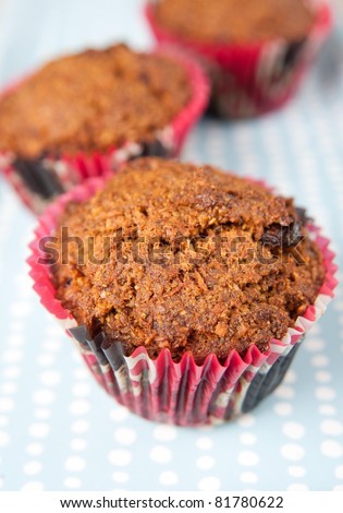Sugar-free, Gluten-free, Dairy-free Muffins with Carrots and Raisins