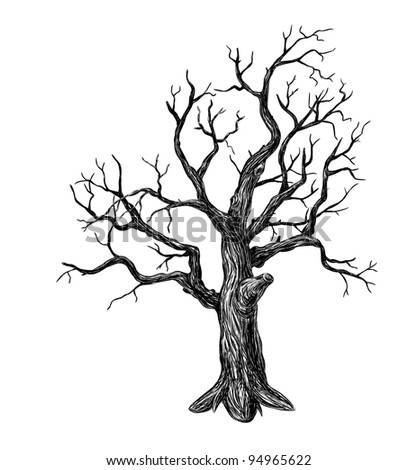 Cartoon Leafless Tree