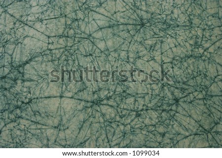 Ecologic paper with arachnids texture. Look at my gallery for more backgrounds and textures