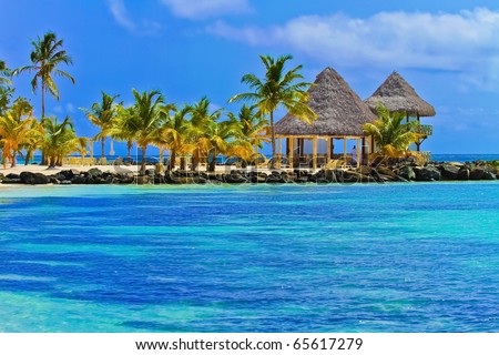 stock photo Punta Cana in Dominican Republic beaches and jungle