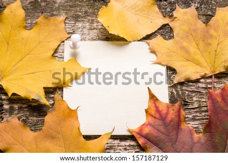 blank paper sticker with autumn leaves on old wood background