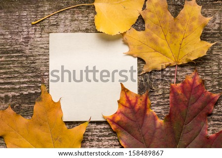 blank paper sticker with autumn leaves on old wood background