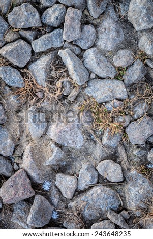 Abstract winter texture background. Stones, snow and grass in nature pattern. Close up image