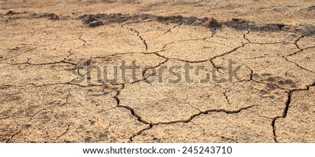 Cracked waterless ground at summer drought . Natural disasters desert background