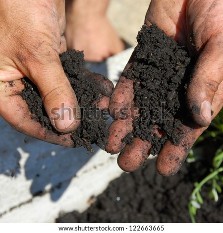 black soil for planting flowers in man hands closeup