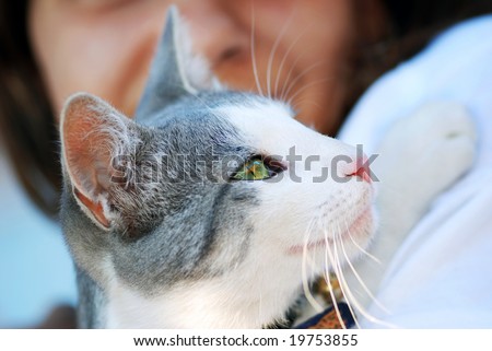 white cat in child  hands portrait side view
