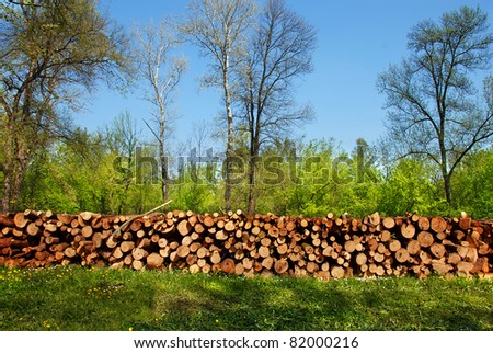 firewood pile outdoor over green grass and blue sky