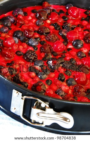 top of prepared cheesecake in baking mold with various fruits and berries