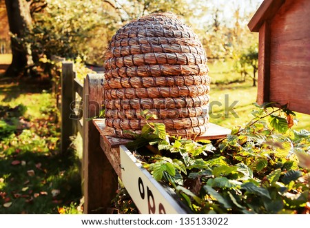 bee house in country place