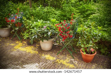 seasonal image of summer flower garden