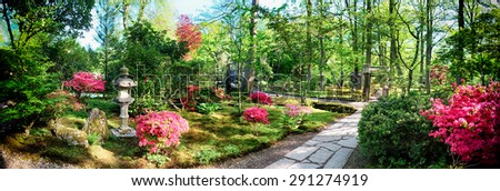nature background panorama in Japanese park