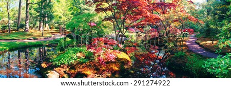 nature background panorama in Japanese park